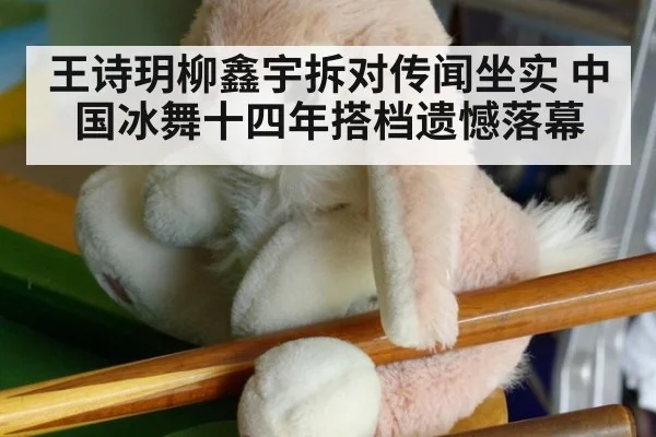 王诗玥柳鑫宇拆对传闻坐实 中国冰舞十四年搭档遗憾落幕