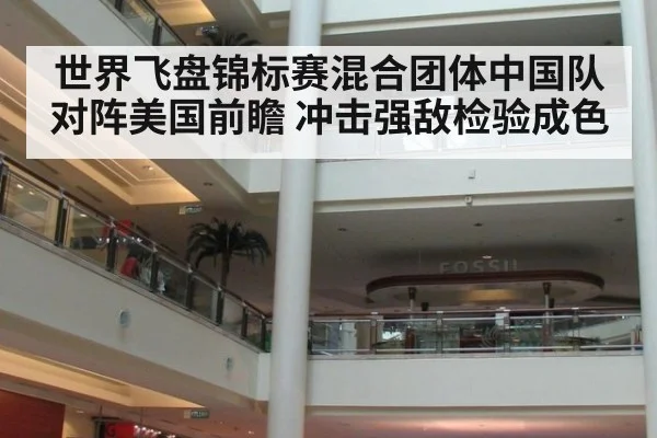 世界飞盘锦标赛混合团体中国队对阵美国前瞻 冲击强敌检验成色